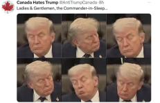 1778063079374.png