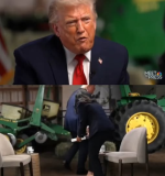 1780848873177.png
