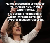 1782130118333.png