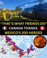 1785007045655.png